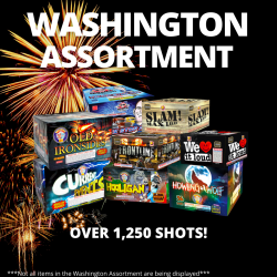 Washington Fireworks Assortment Firework
